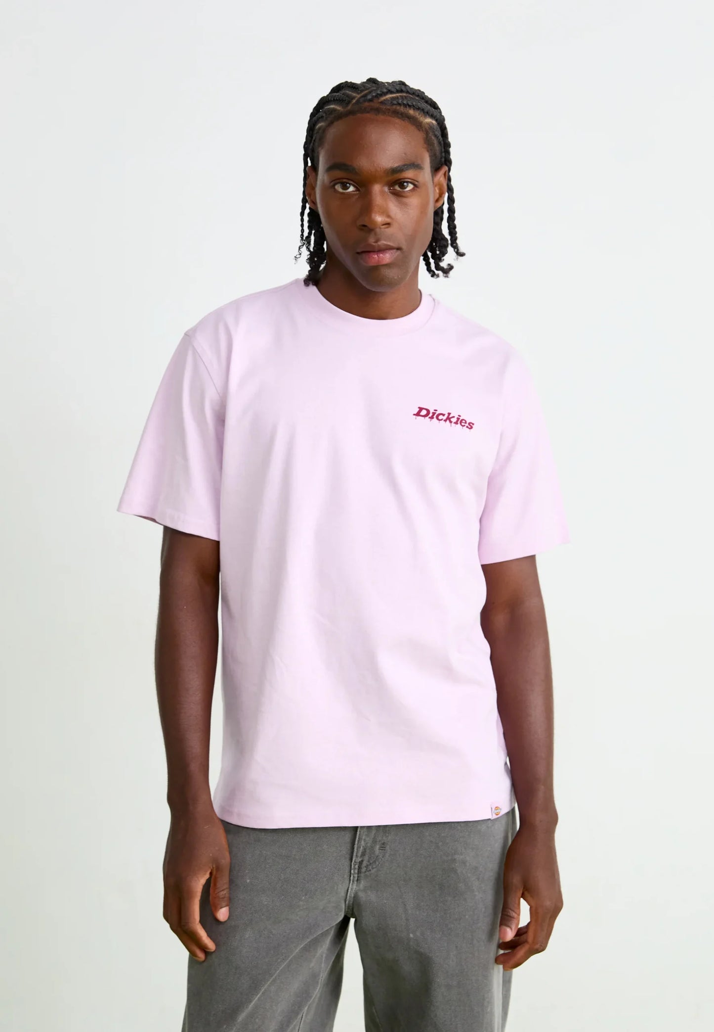 DICKIES T-shirt statesville - CARISMAstore