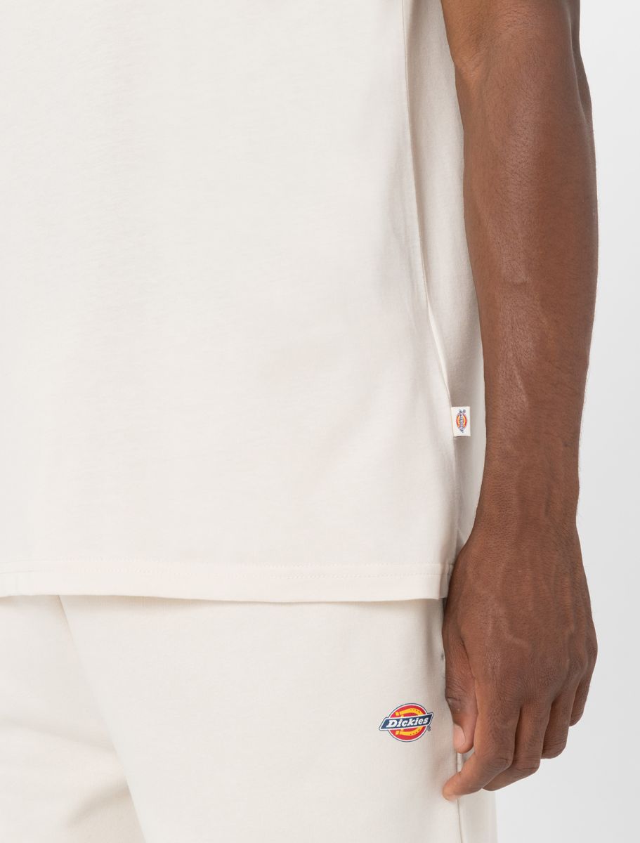DICKIES T-shirt mapleton - CARISMAstore
