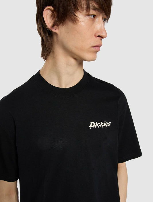 DICKIES T-shirt statesville - CARISMAstore