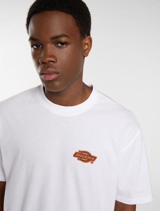 DICKIES T-shirt graysville - CARISMAstore