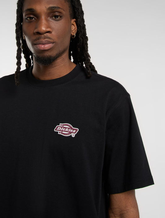 DICKIES T-shirt graysville - CARISMAstore