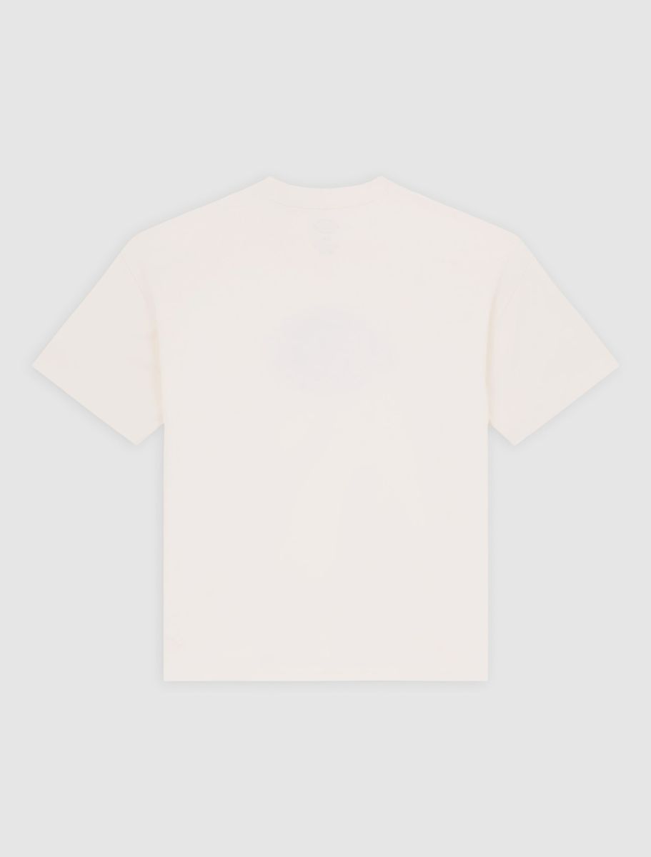DICKIES T-shirt forth shaw - CARISMAstore