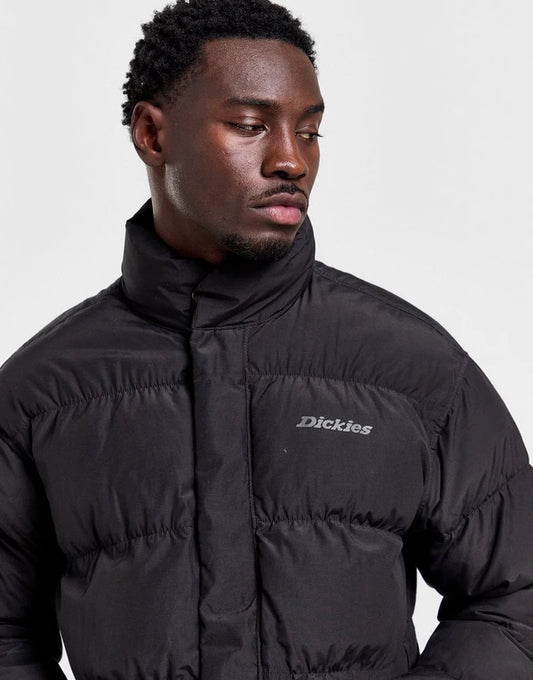 DICKIES Casaco acolchado scobey - CARISMAstore