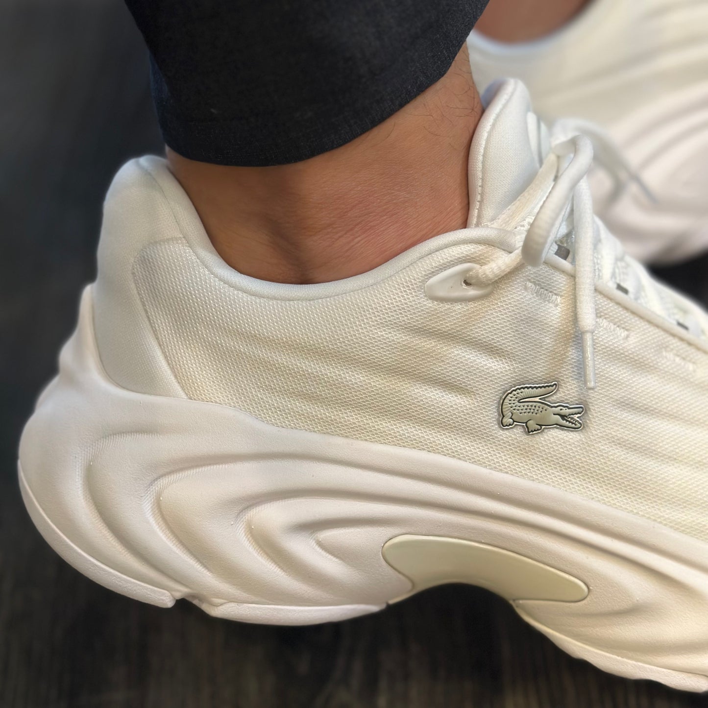 LACOSTE Sapatilhas spinor - CARISMAstore