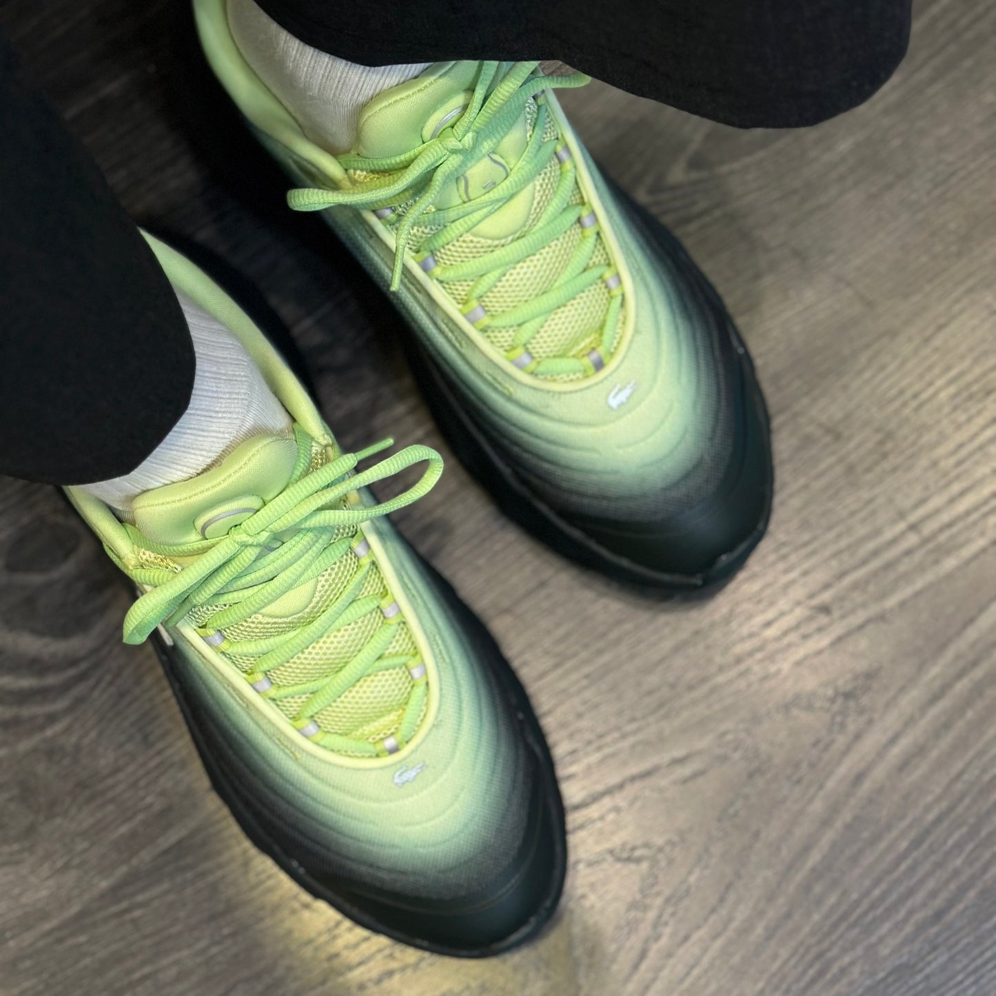 LACOSTE Sapatilhas spinor - CARISMAstore