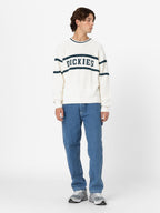 DICKIES Jeans garyville