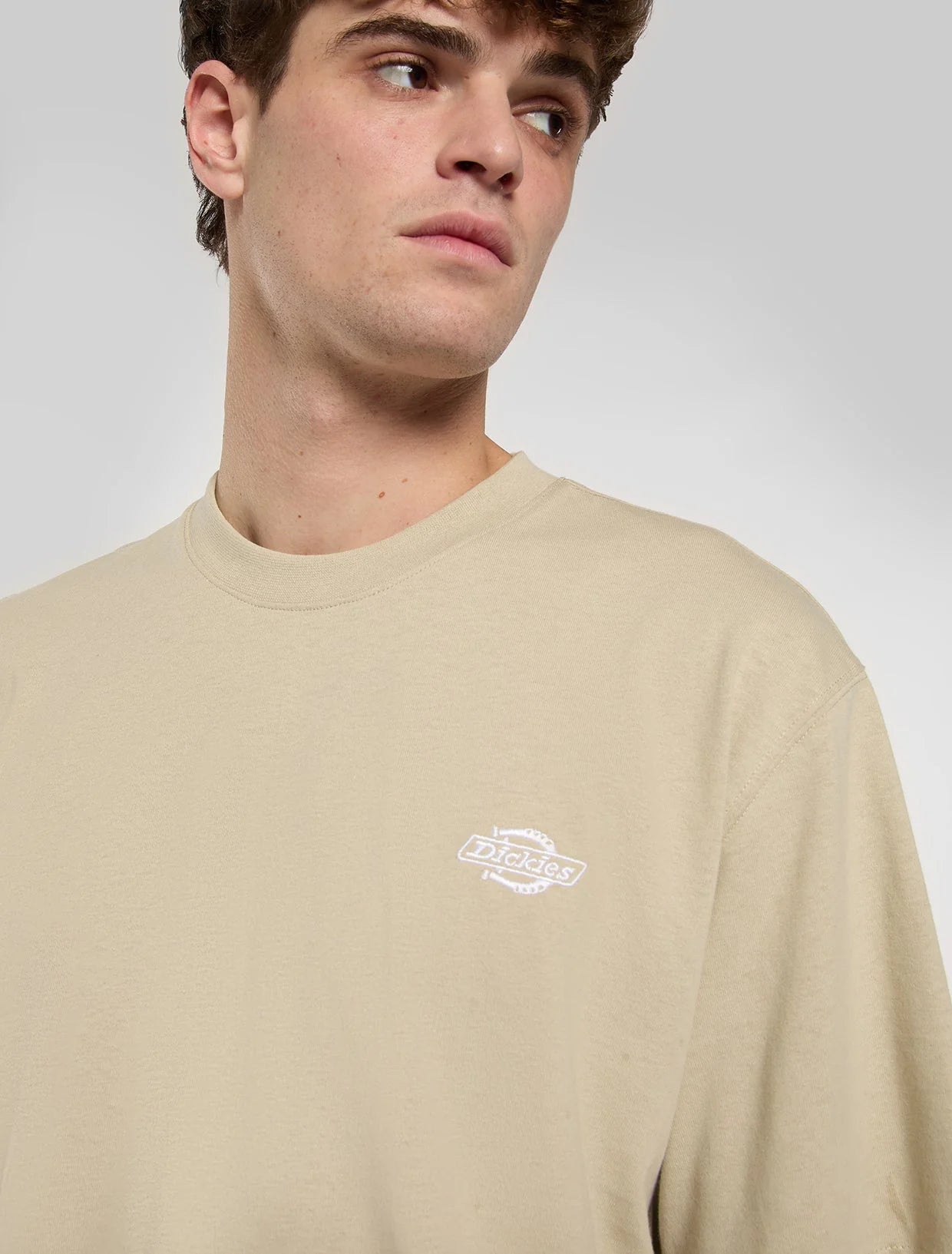 DICKIES T-shirt summerdale