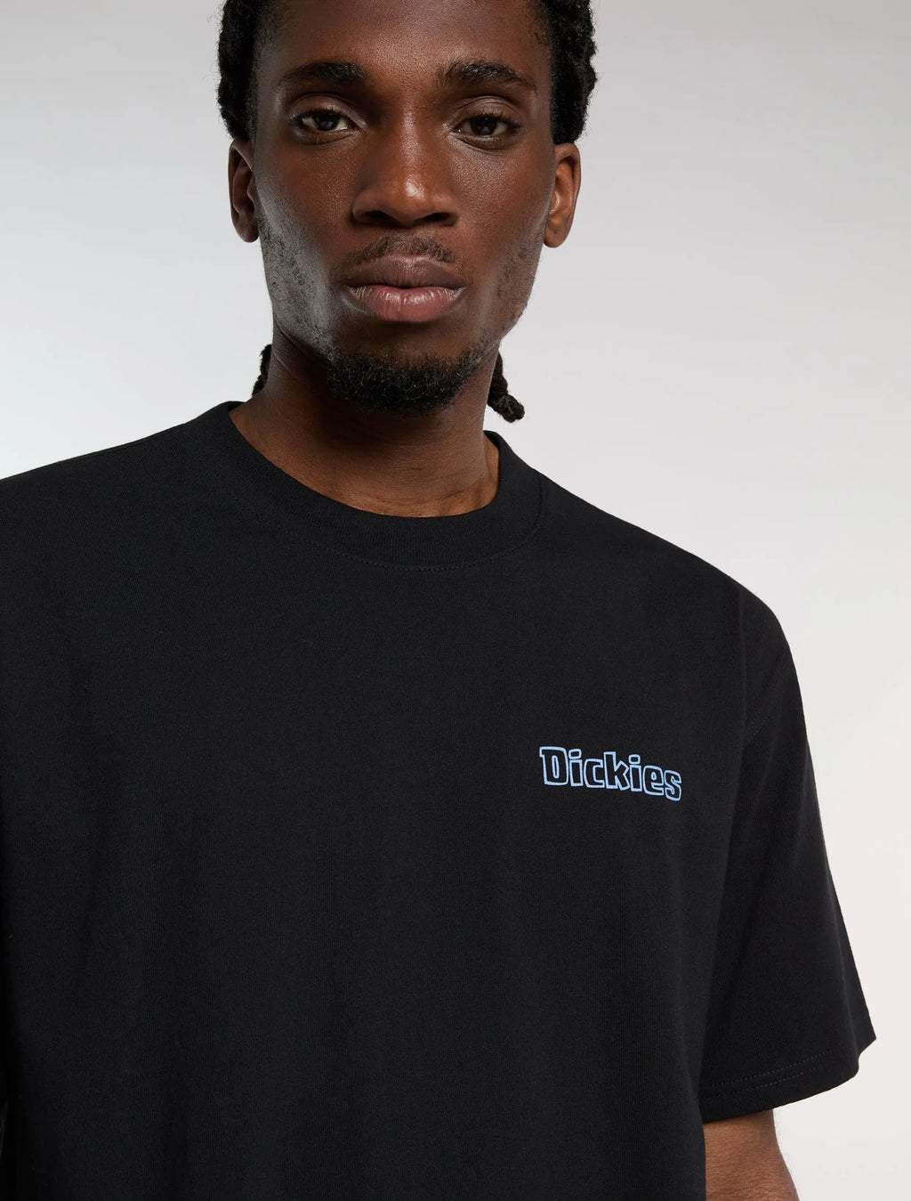DICKIES T-shirt farlawn