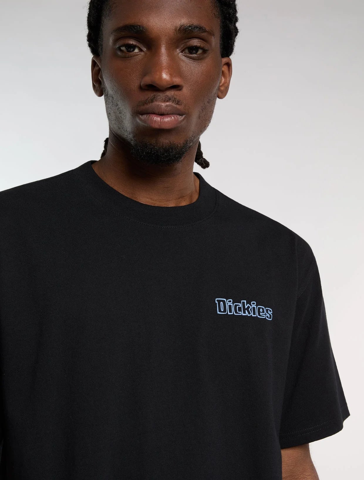 DICKIES T-shirt farlawn