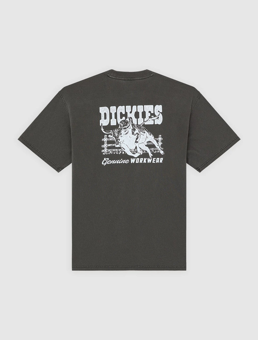 DICKIES T-shirt buchtell