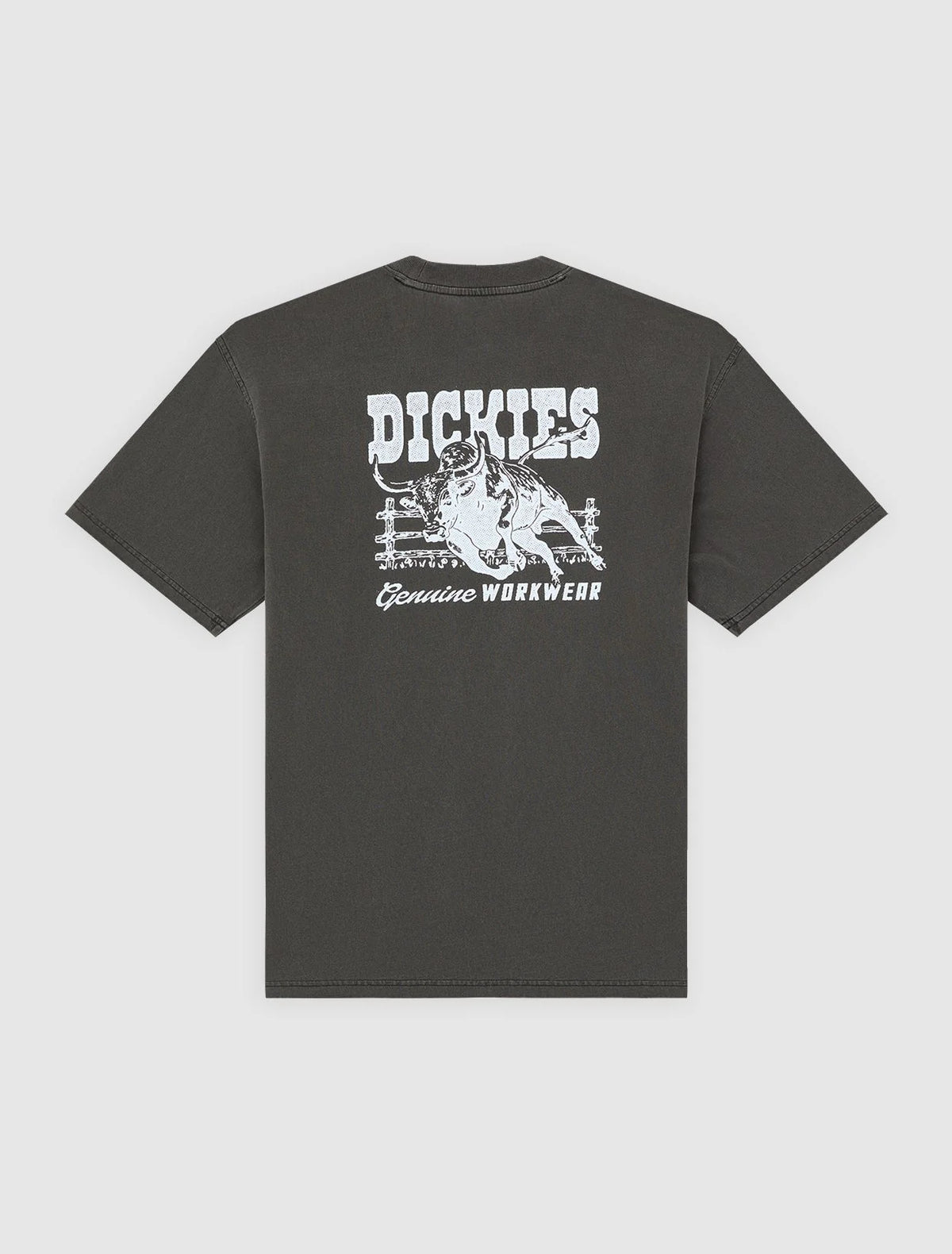 DICKIES T-shirt buchtell