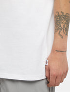DICKIES T-shirt summerdale
