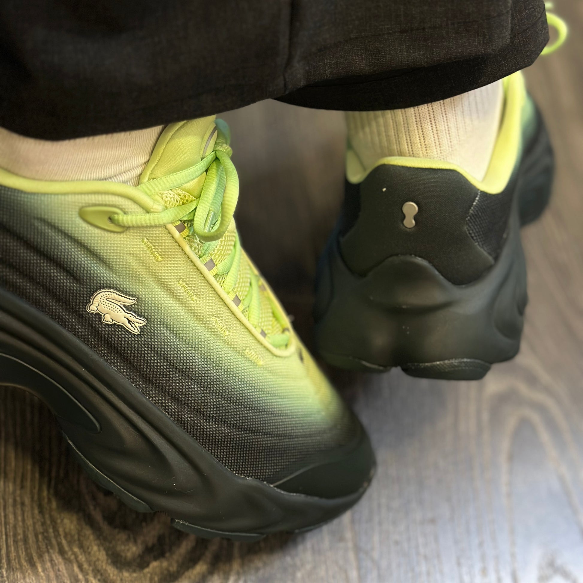 LACOSTE Sapatilhas spinor - CARISMAstore