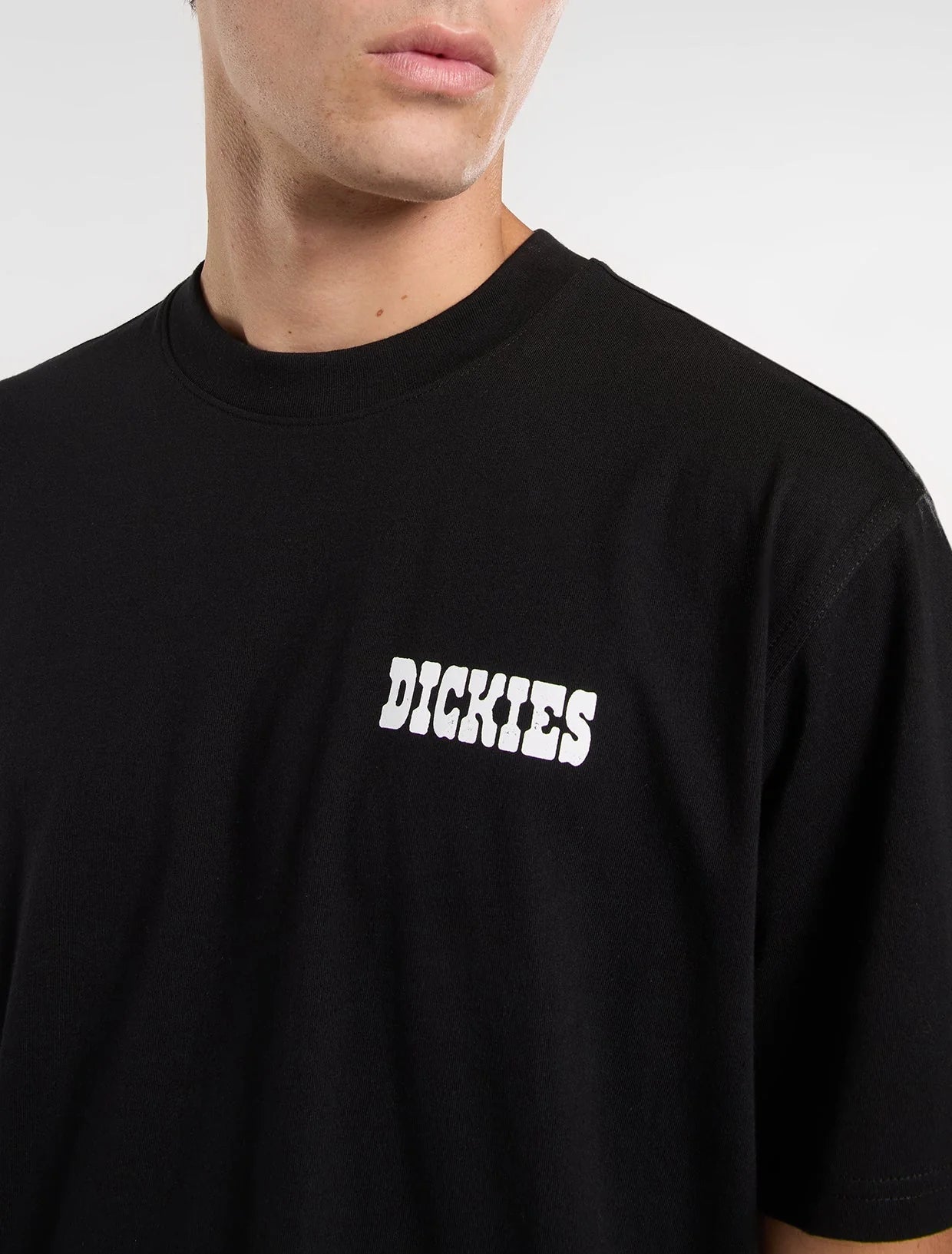 DICKIES T-shirt plain city
