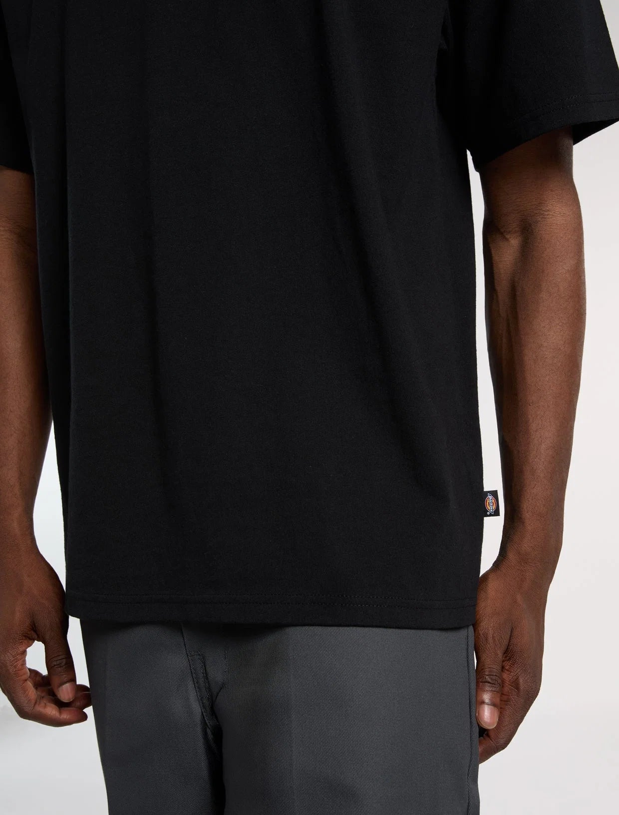 DICKIES T-shirt farlawn