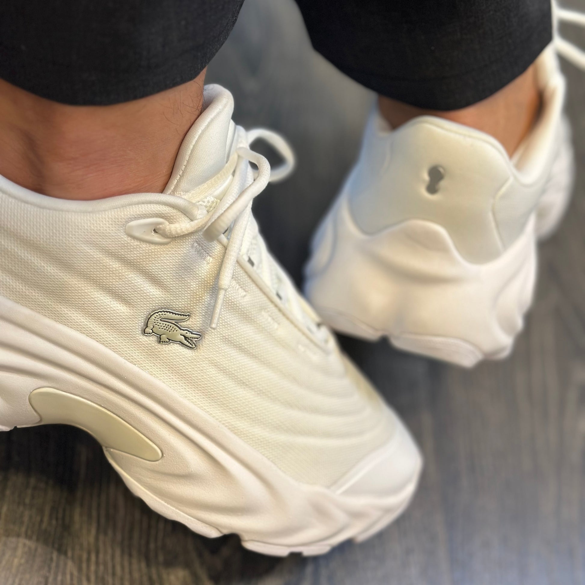 LACOSTE Sapatilhas spinor - CARISMAstore