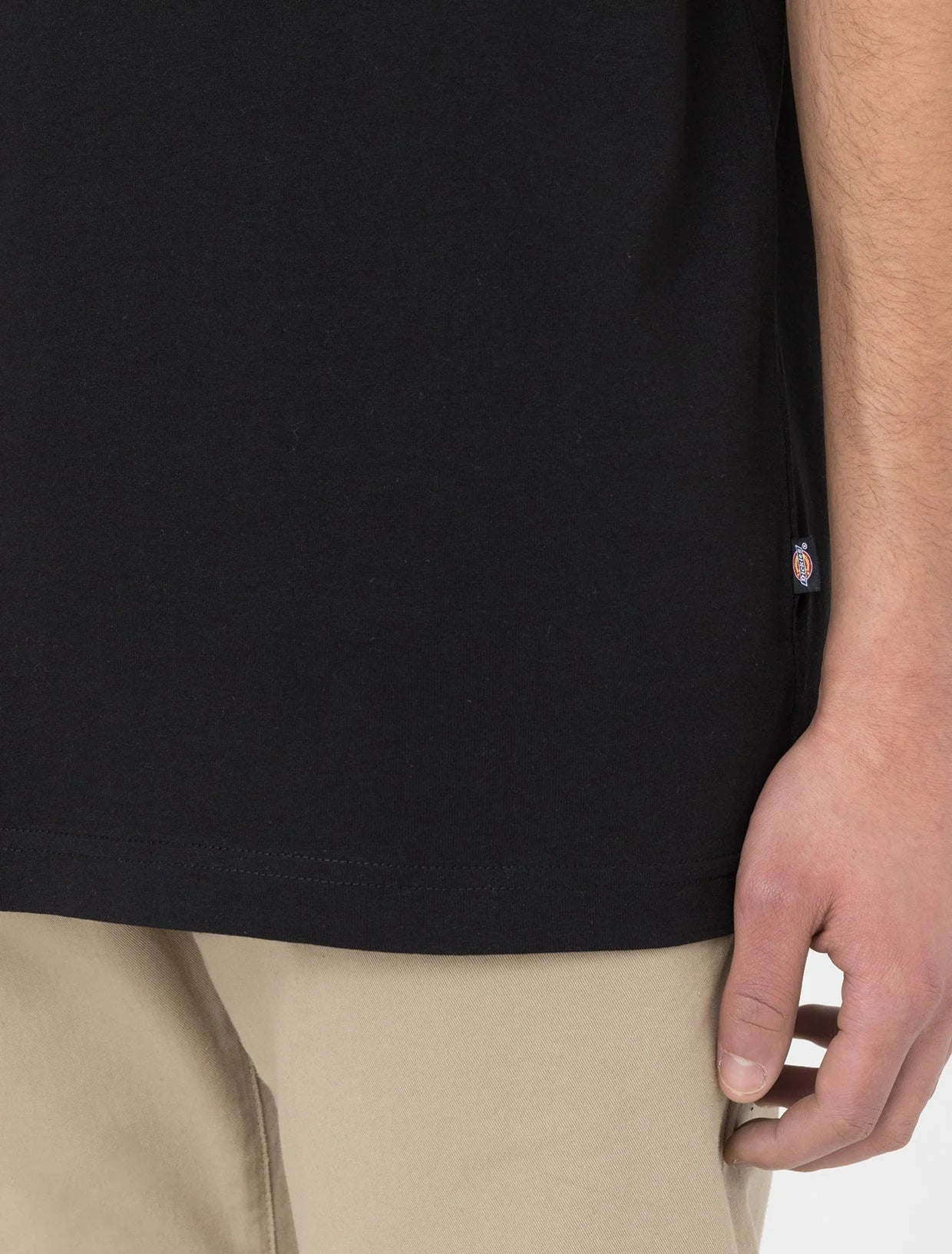 DICKIES T-shirt summerdale