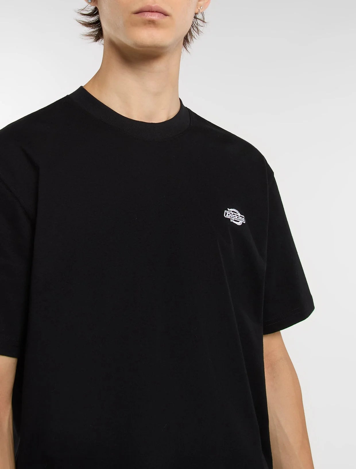 DICKIES T-shirt summerdale
