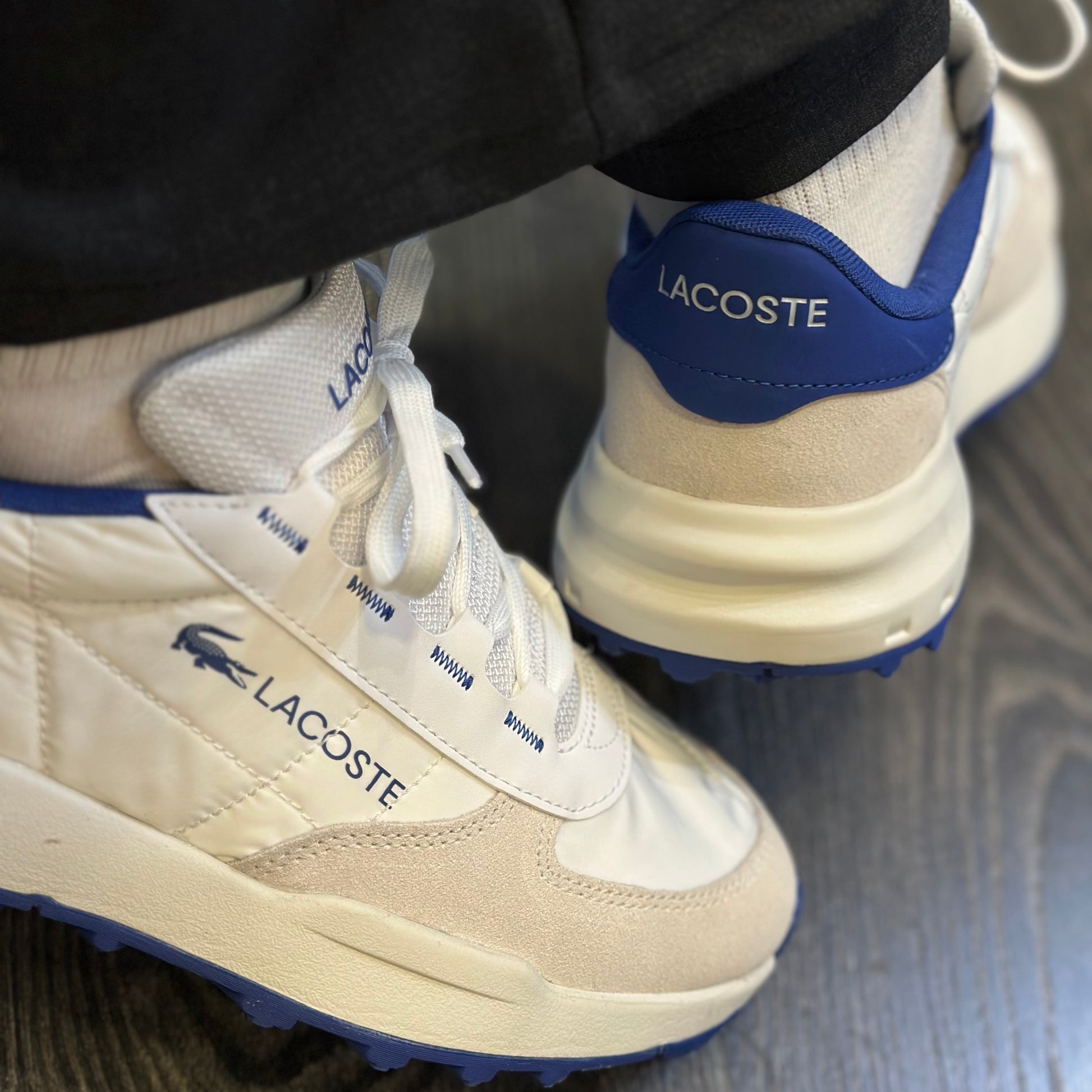 LACOSTE Sapatilhas elite active evo - CARISMAstore