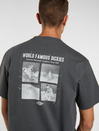 DICKIES T-shirt wolfhurst