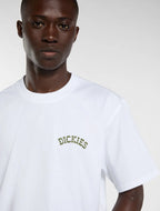 DICKIES T-shirt bettsville