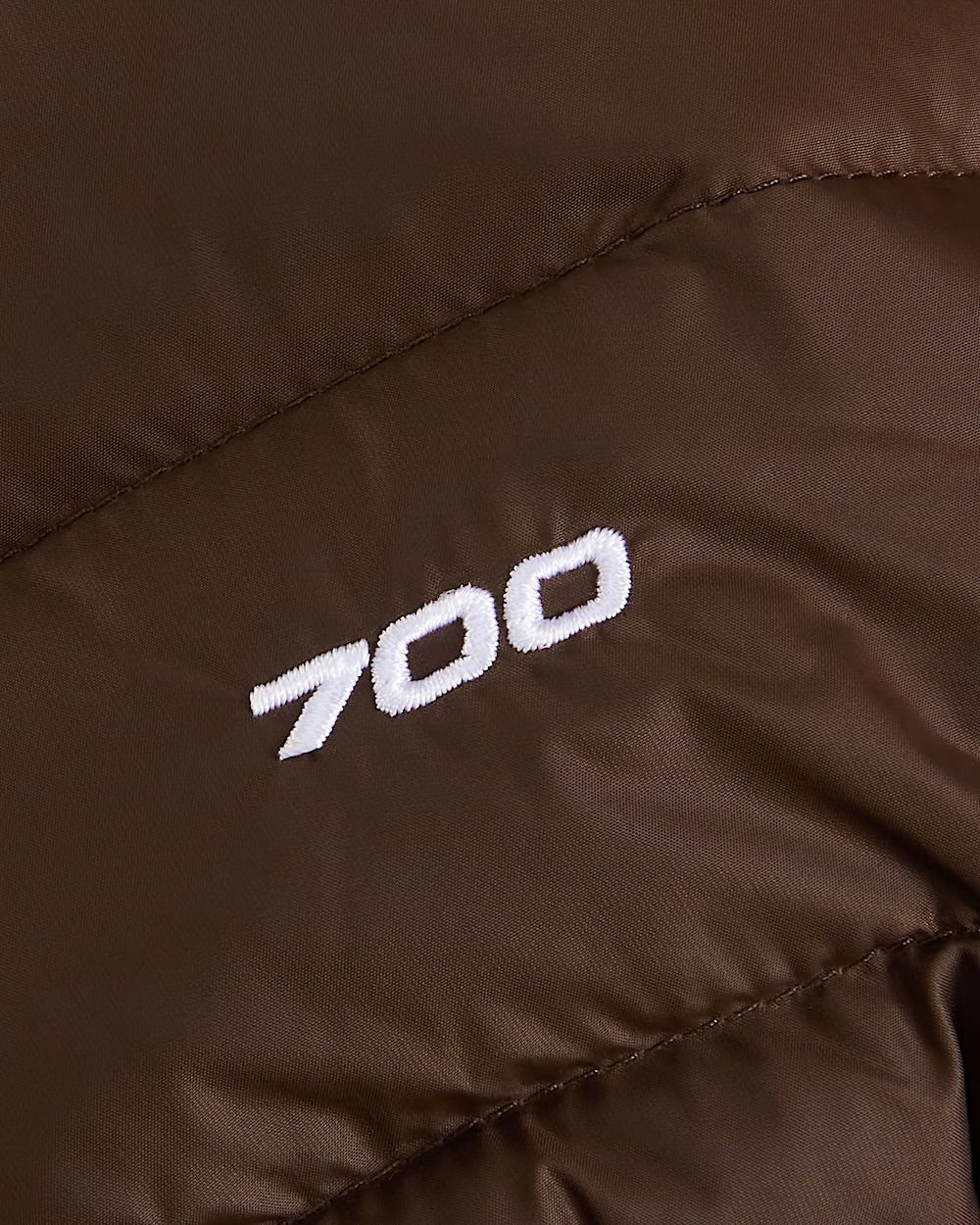 THE NORTH FACE Casaco com capuz e penugem de ganso classic