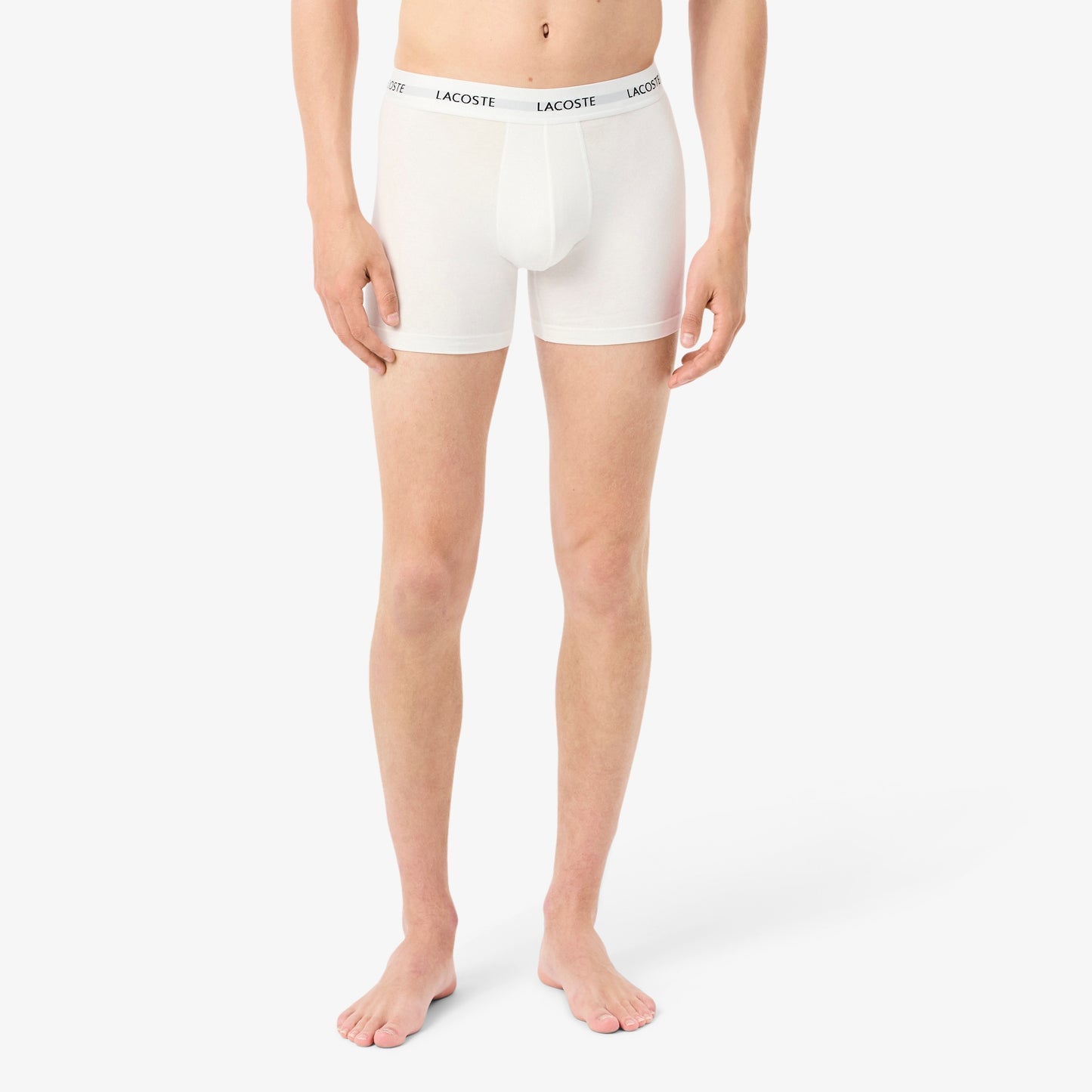 LACOSTE Pack de 3 Boxers de algodão elástico
