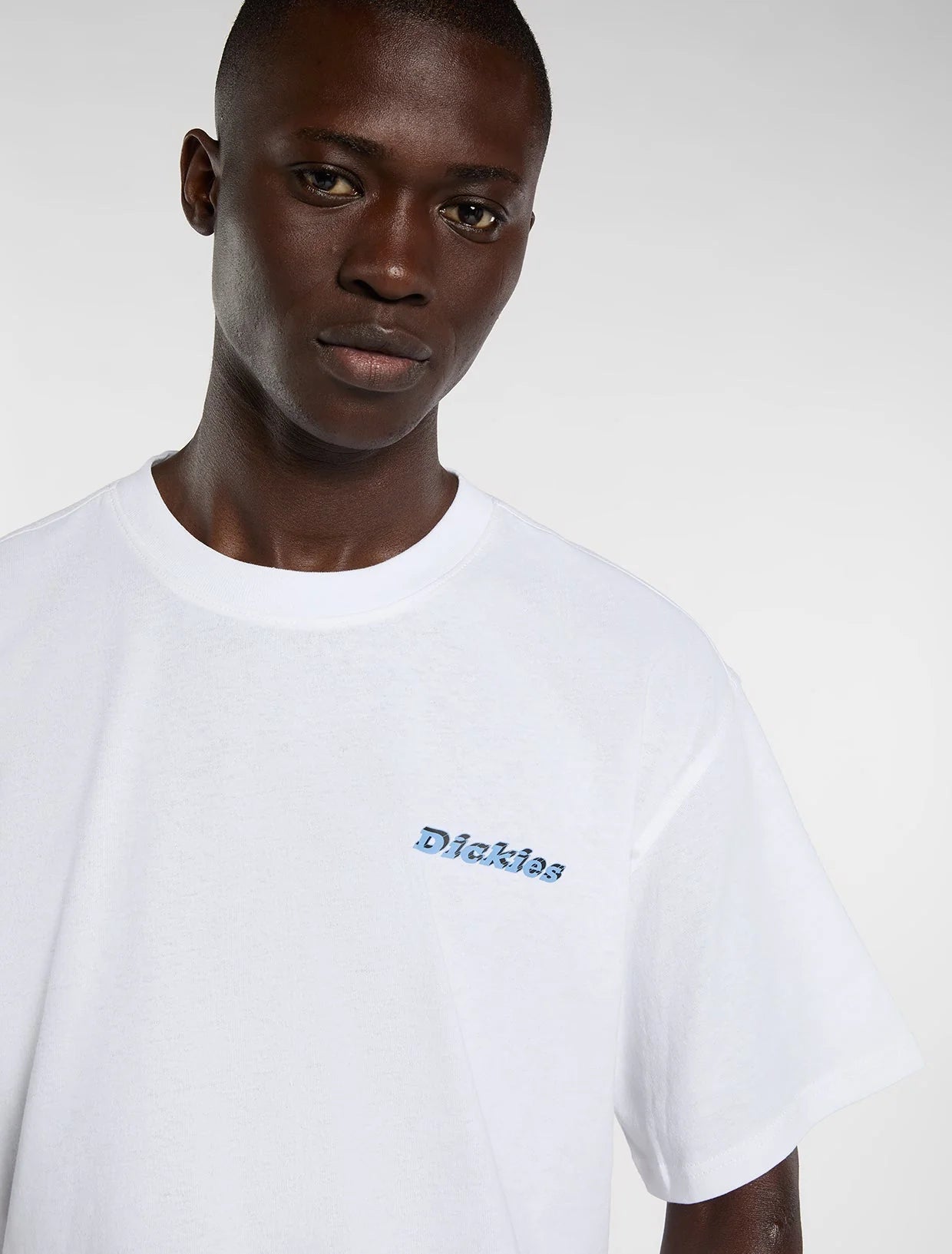 DICKIES T-shirt thornville