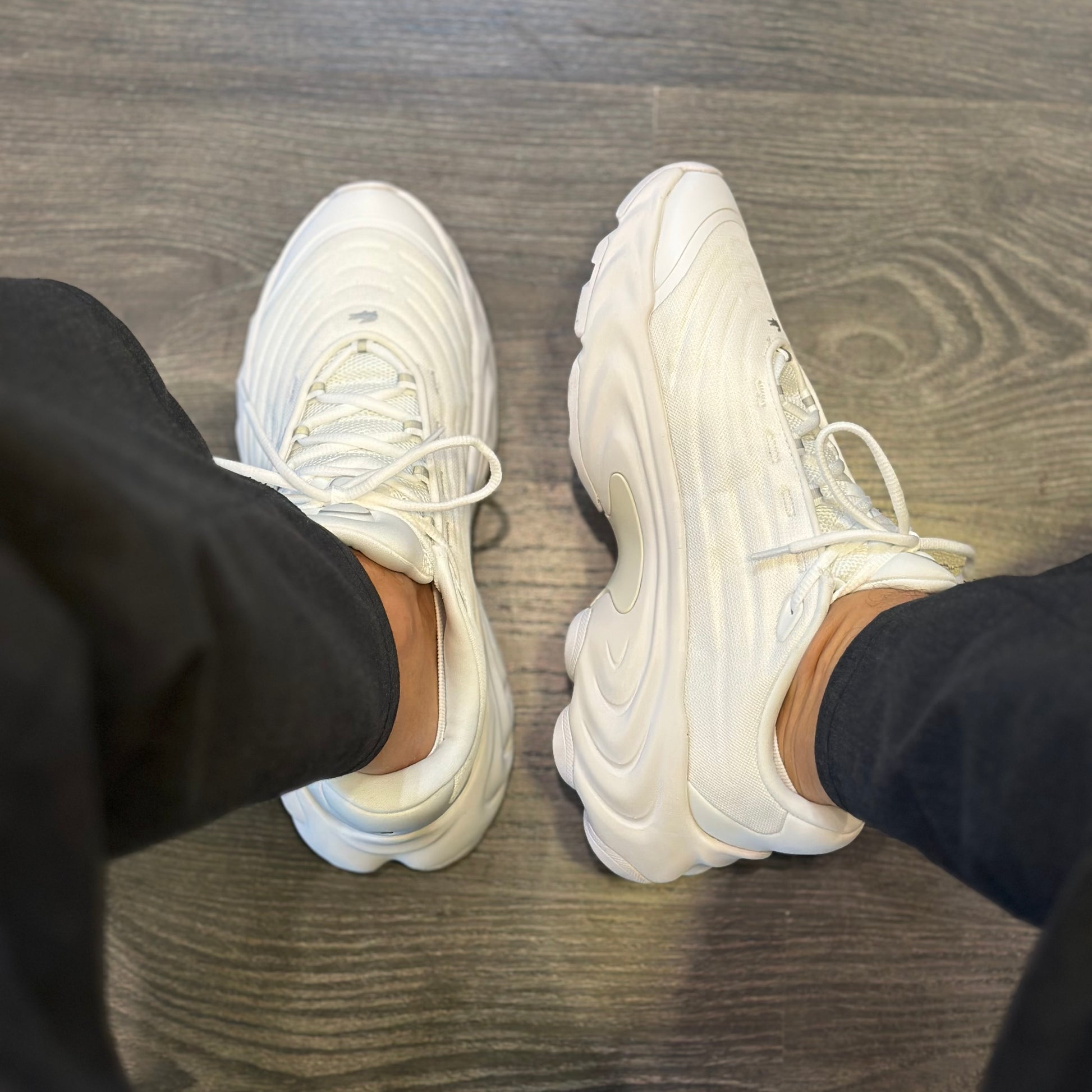 LACOSTE Sapatilhas spinor - CARISMAstore