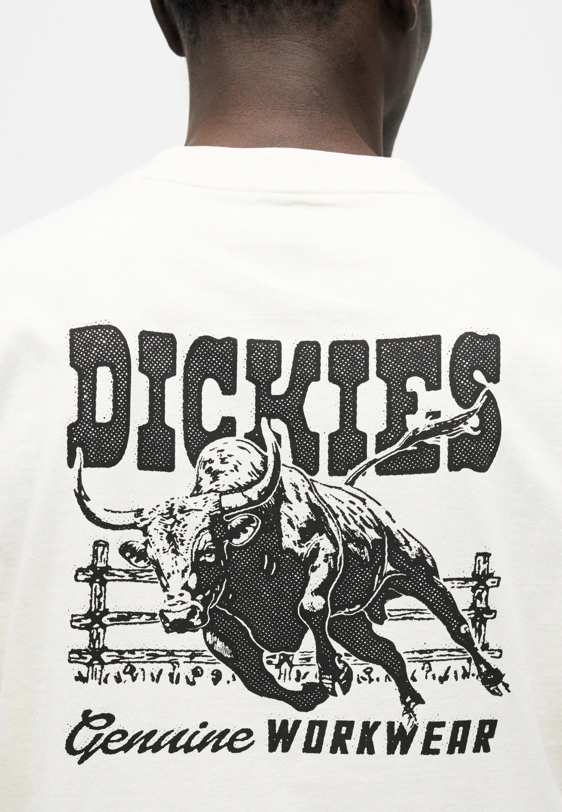 DICKIES T-shirt buchtell