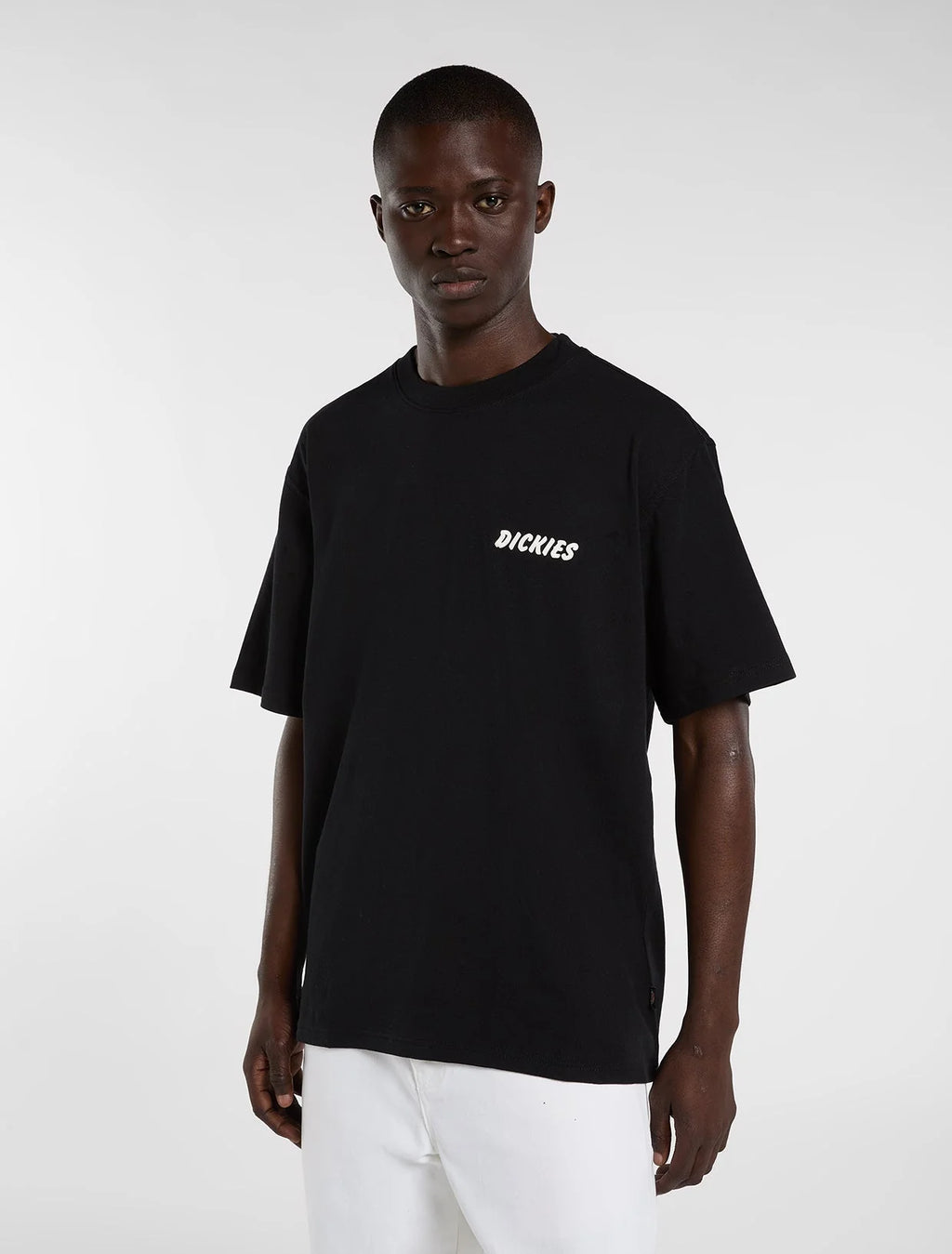 DICKIES T-shirt Dry ridge