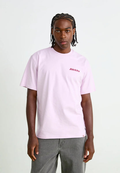 DICKIES T-shirt statesville - CARISMAstore