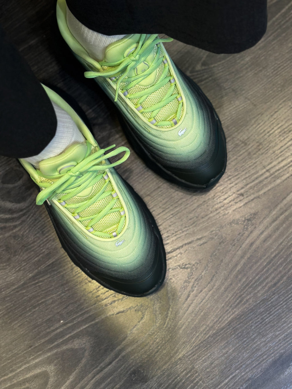 LACOSTE Sapatilhas spinor