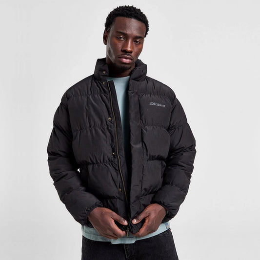 DICKIES Casaco acolchado scobey