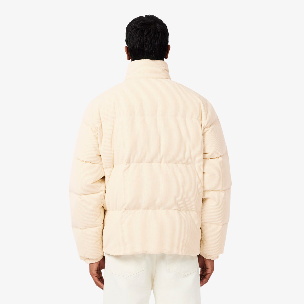 LACOSTE Blusão de penas em bombazina