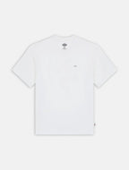 DICKIES T-shirt summerdale