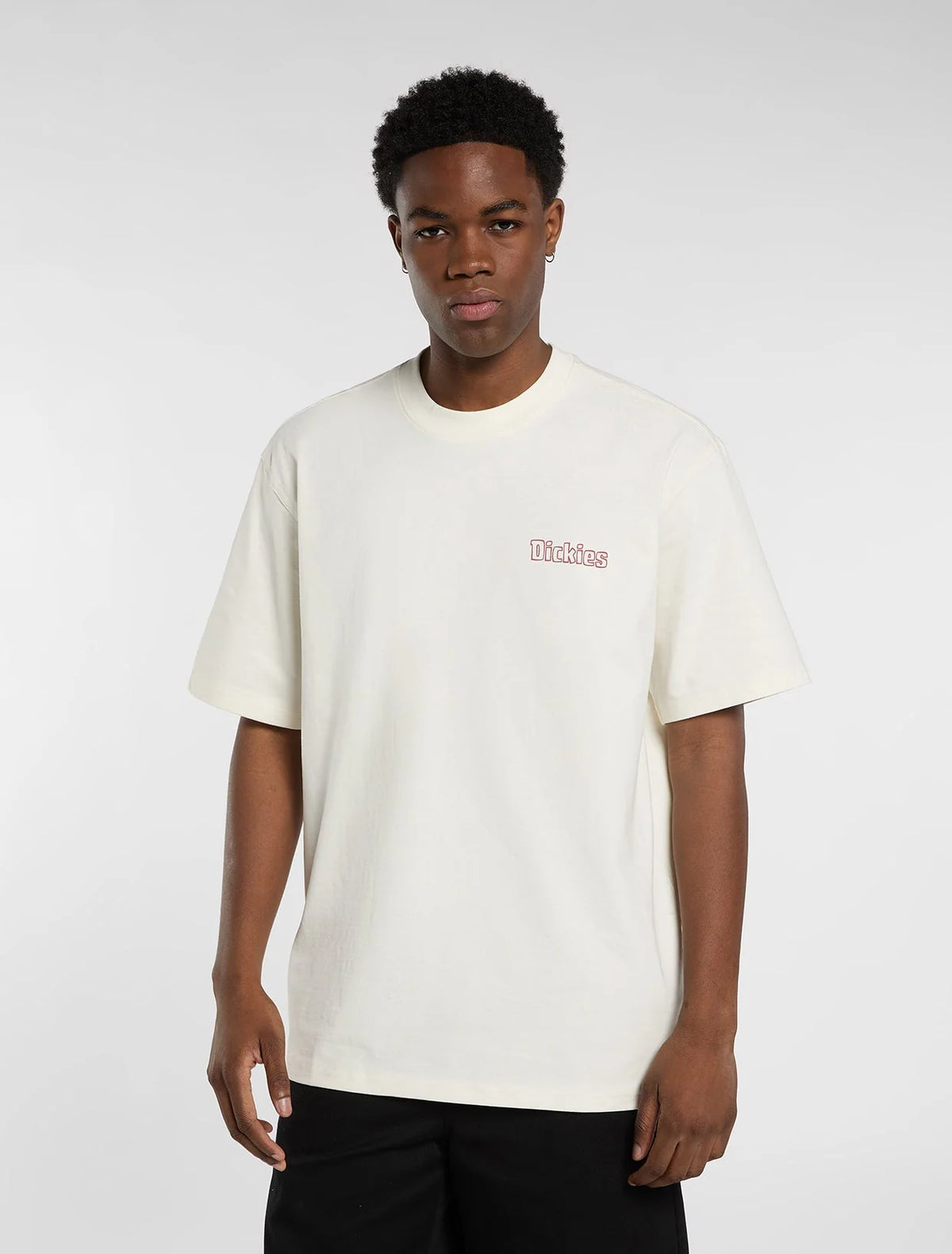 DICKIES T-shirt fairlawn