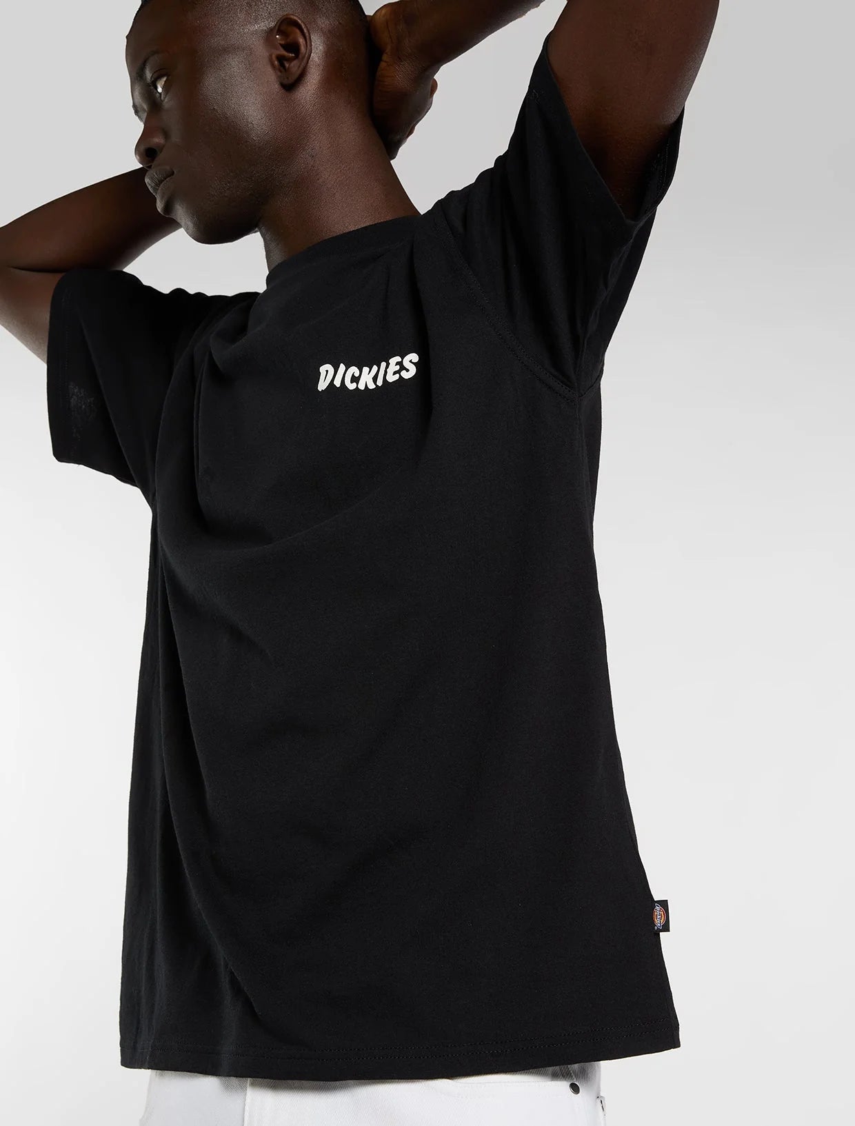 DICKIES T-shirt Dry ridge