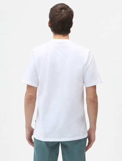 DICKIES T-shirt icon logo - CARISMAstore