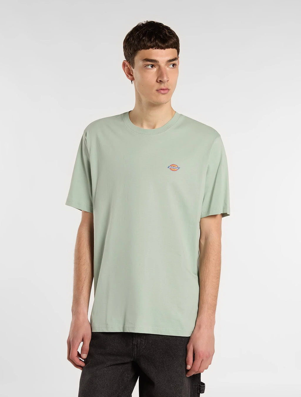 DICKIES T-shirt mapleton