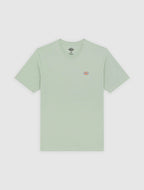 DICKIES T-shirt mapleton
