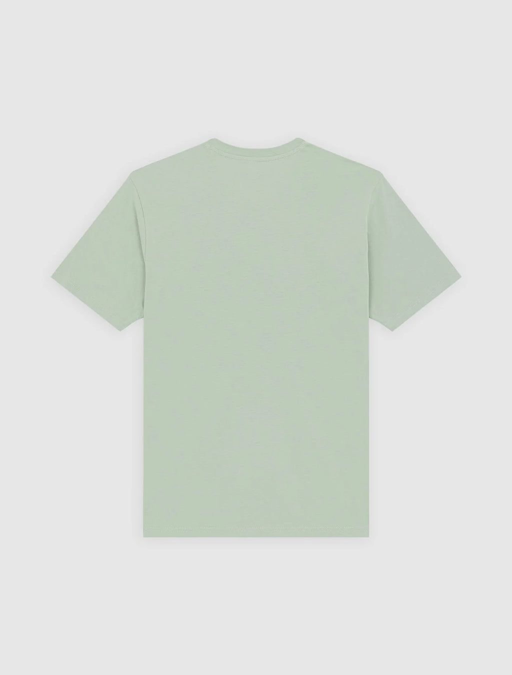 DICKIES T-shirt mapleton