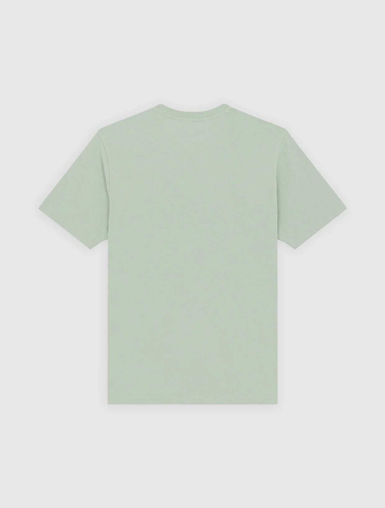 DICKIES T-shirt mapleton