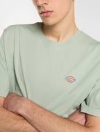 DICKIES T-shirt mapleton