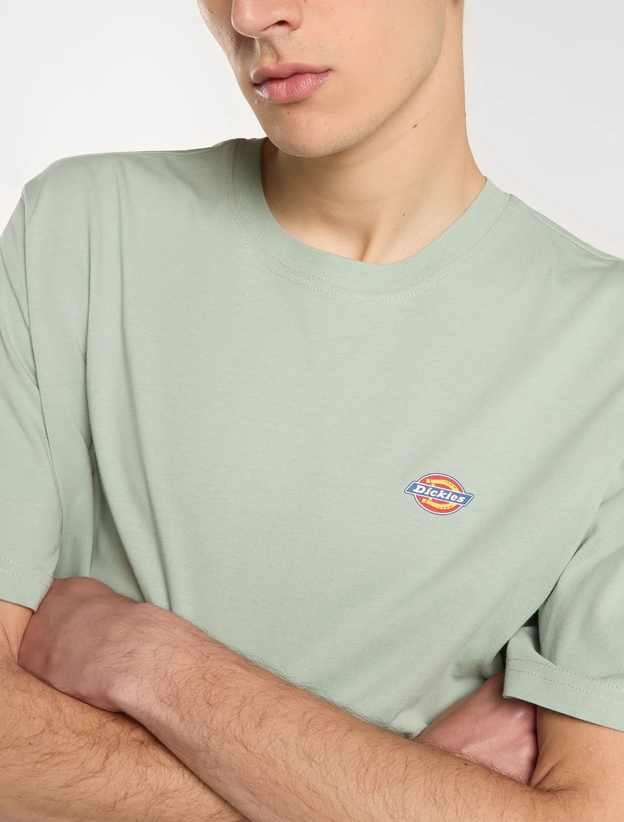 DICKIES T-shirt mapleton