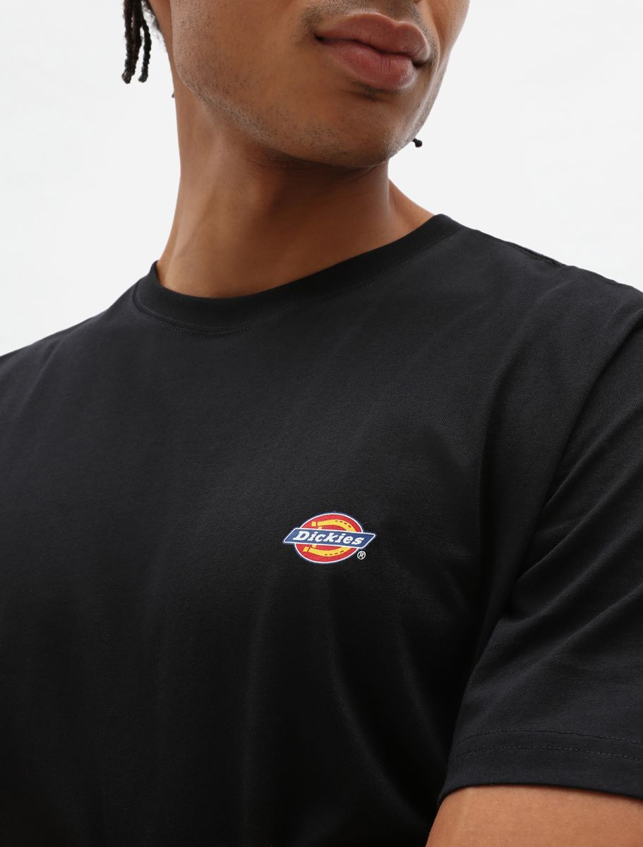 DICKIES T-shirt mapleton - CARISMAstore