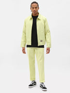 DICKIES T-shirt mapleton - CARISMAstore