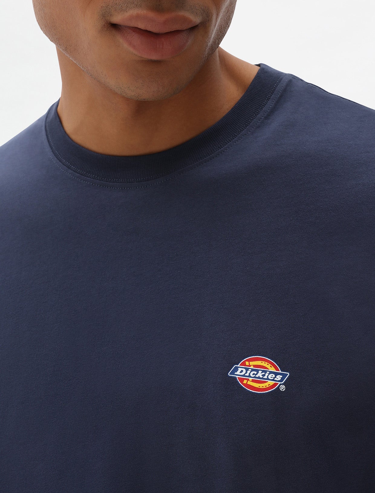DICKIES T-shirt mapleton