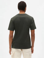 DICKIES Mapleton lightweight t-shirt
