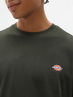 DICKIES Mapleton lightweight t-shirt